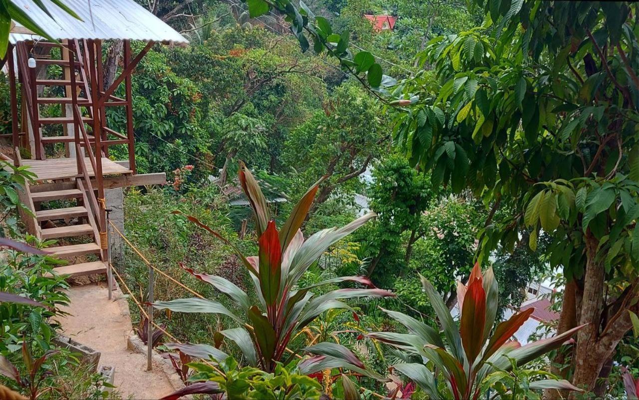 Balecabugaocottagesrental El Nido Ngoại thất bức ảnh